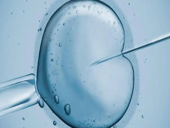 雌二醇低可能是卵泡发育不好