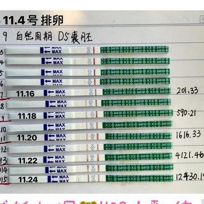 移植后判断是否怀孕，试纸测到崩溃，总结几个实打实维度