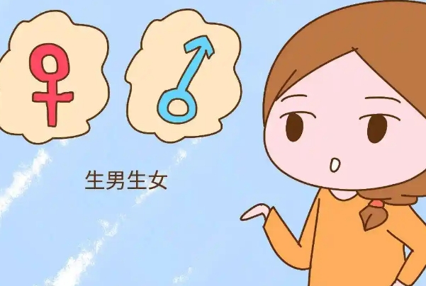 孕11周后可以初步查看胎儿性别