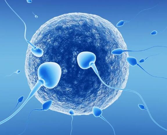 精子活力会影响生育治疗
