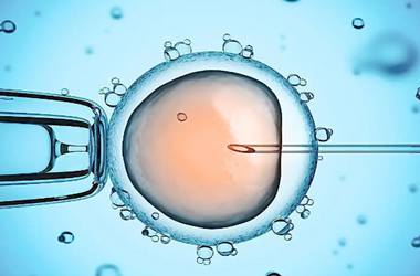 第三代试管婴儿一般都是多胞胎无法单胚胎吗?