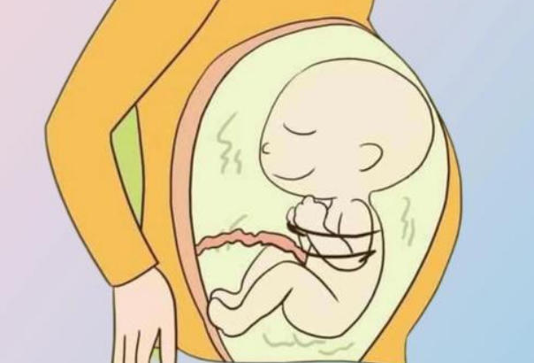 生不出男孩不能怪女性