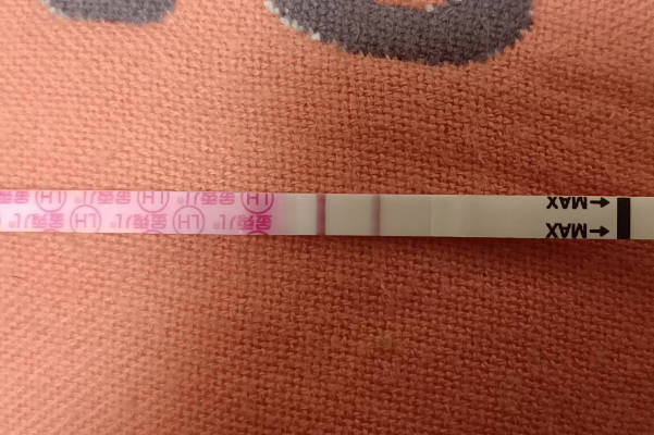 为什么鲜胚移植后经过十三天才慢慢测出来粉印的结果呢？