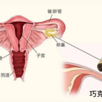 巧囊试管一次成功经验 过来人的经验全掏给你