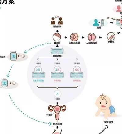 做试管都需要做哪些检查，我靠5个判断维度选对方向