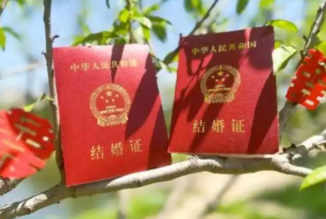 国内做试管需要结婚证