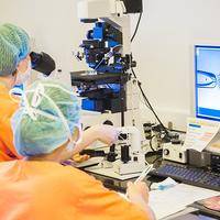 三代试管养囊到几天全解析，你了解多少？