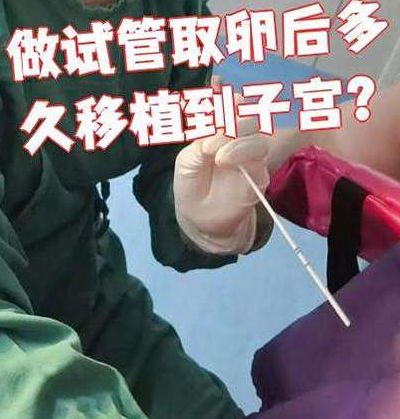 试管取卵后要休息多久才能恢复？取卵18枚的我，第5天才敢下地