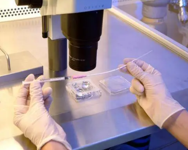 取卵后在指定实验室培育胚胎