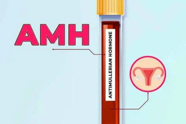 amh检查时间不受月经影响