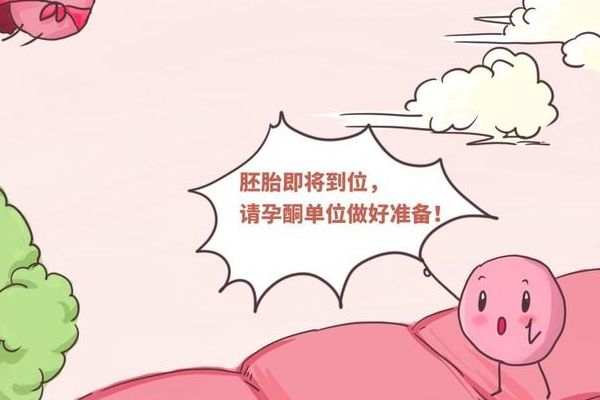 试管婴儿成功后几个月才稳定？过来人帮你梳理从检查到保胎的每笔开销明细