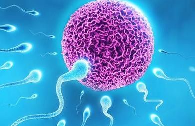 格鲁吉亚试管婴儿医院排名榜，4个判断维度让你自己会选