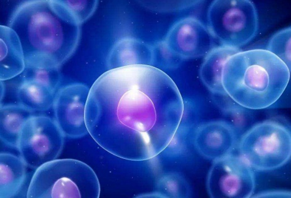 5BA囊胚质量好不一定能成功着床?免疫和遗传是阻碍!