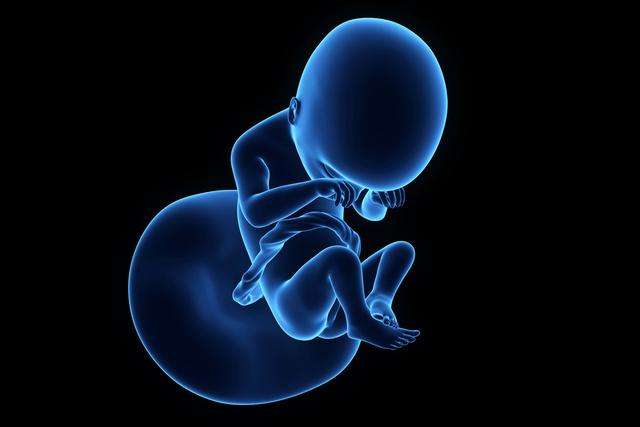 做试管婴儿为什么会出现胎停育？深度剖析胎停因素