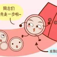 不排卵没监测过卵泡可以试管吗?试管前要做生育力评估