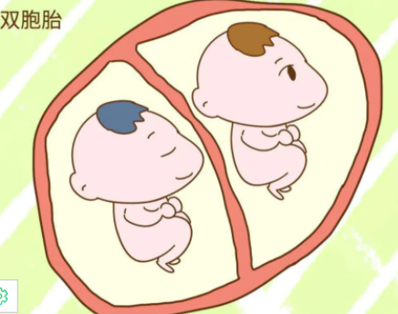 试管婴儿单卵双胞胎几率大吗