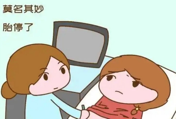 胎停不一定精子的原因