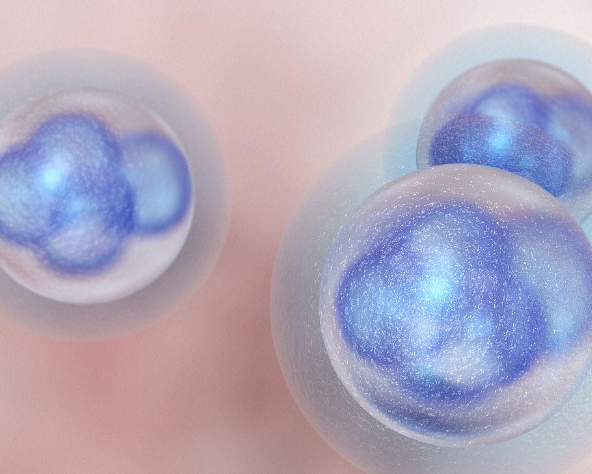 胚胎质量差会出现不分裂
