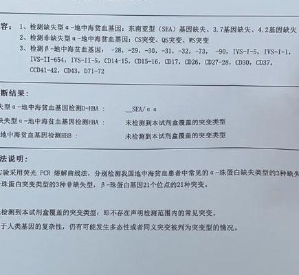 染色体异常试管费用多少钱？过来人帮你梳理6笔价格开销明细