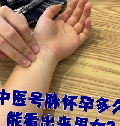 脉搏怎样跳动是怀孕了？滑脉如珠走盘也未必是真怀了