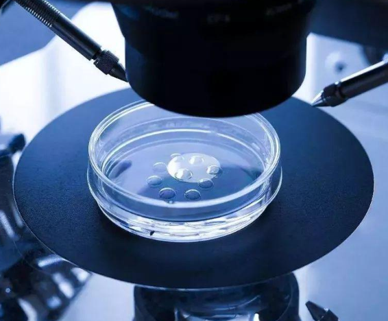 二代胚胎筛选技术更精确