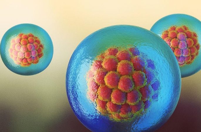 基础卵泡只有3个适合促排