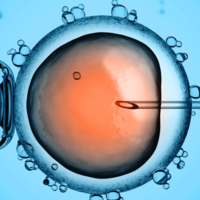 北京和日本的试管婴儿哪个成功率好?