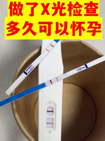 比试纸更早的怀孕信号,基础体温升高你注意到了吗?