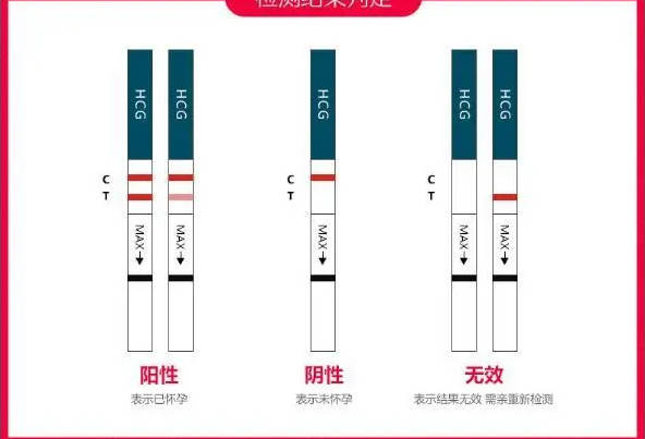 验孕棒显示两条红线则确认怀孕