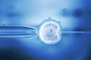 胚胎移植的过程