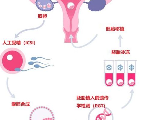 备孕三年没结果，我在哈尔滨天元妇产医院走完了试管流程详细步骤