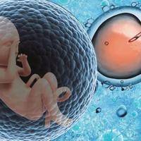 广州第三代试管婴儿费用详解：你的钱都花在哪里了？