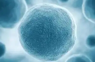 胚胎移植18天在子宫什么状态?现在知道子宫重要了吧?