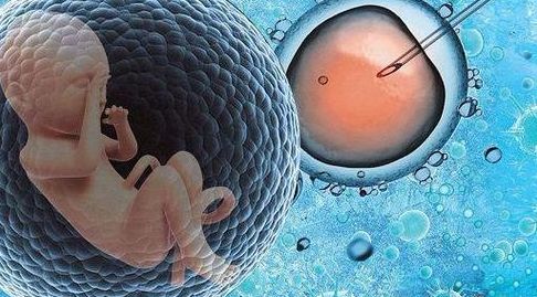 试管婴儿能活多少年寿命?过来人梳理做一次多少钱的5笔开销明细