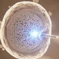格鲁吉亚vs乌克兰试管婴儿哪个好？求稳保亲权还是搏性价比