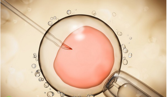 精卵不结合可能是精子活力低