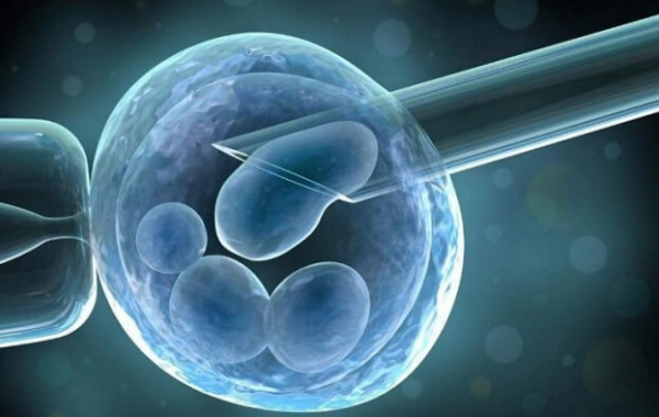 供卵四个胚胎成功率