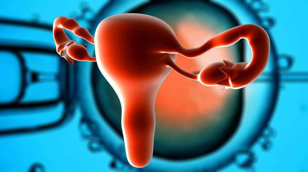 哪些因素会影响做试管婴儿时的胚胎质量呢？