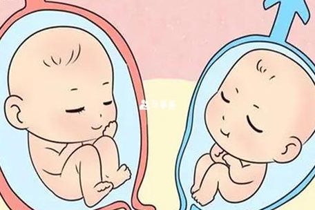做一个试管婴儿费用多少钱？过来人帮你梳理6笔开销明细