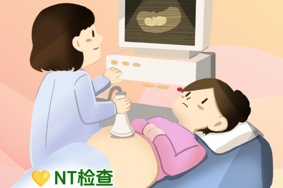 NT0.11cm是男宝还是女宝 NT0.11cm是男宝还是女宝
