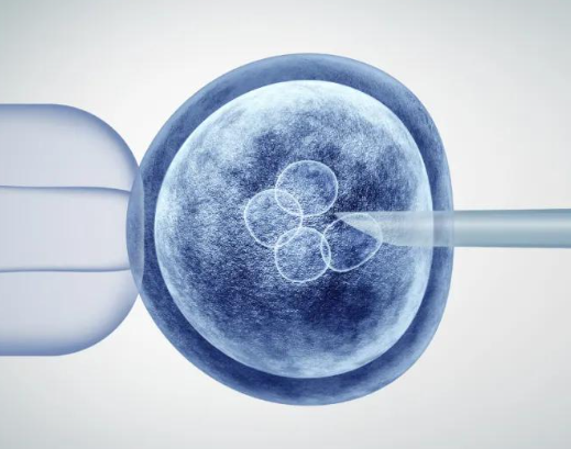 多胚胎移植对身体影响大