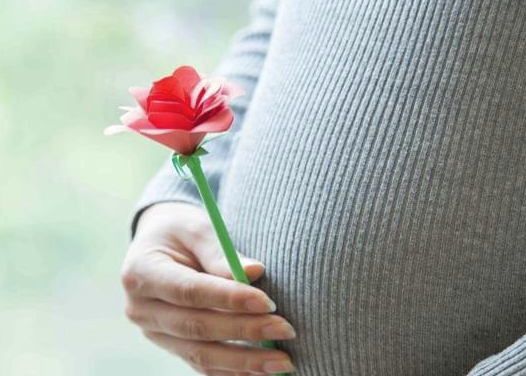 卵巢早衰患者顺利怀孕
