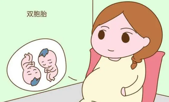 3代试管能一次移植两个胚胎生双胞胎儿子吗？