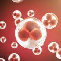 为什么国内女性都选择去美国冻卵？