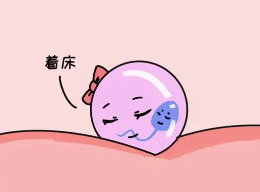 怀孕初期出血是着床现象吗，有无图片解析？