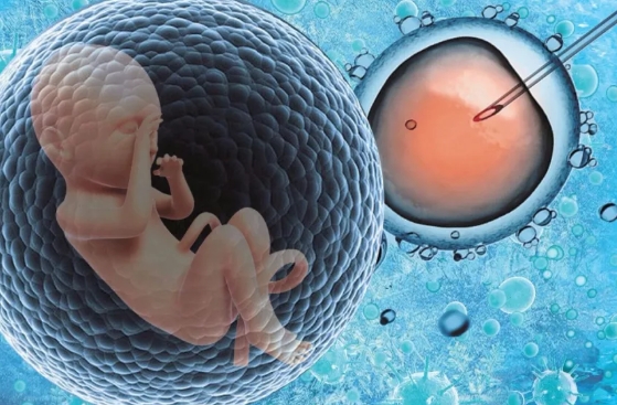 四川试管婴儿医院排名