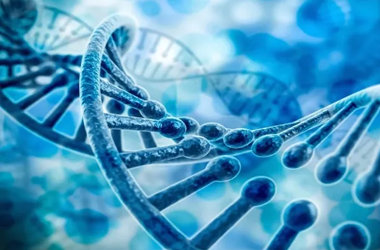 试管基因检测的意义是什么?