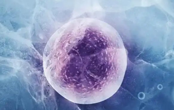 供卵成功例子较多