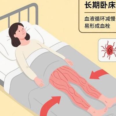 试管移植后需要卧床多长时间？我的真实经历告诉你别瞎躺