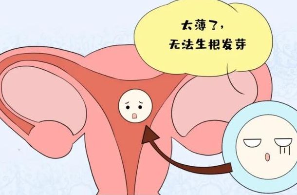 试管三次失败还有必要再做吗？我的真实答案